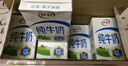 伊利【新鲜日期】纯牛奶整箱 250ml*24盒 优质乳蛋白 实拍图