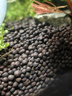汉洋（ WATERWEEDS INDUSTRY）HANYANG亚马逊水草泥鱼缸底砂水草种子造景装饰套餐水藻泥免洗1L 实拍图