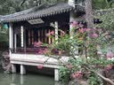 诺兰森迪一次性内裤女士中高腰棉底裆大码孕产妇旅行独立包装5条L码 实拍图
