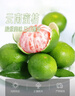 京鲜生 云南青皮蜜桔8斤装  果径55mm+ 新鲜酸橘桔水果 源头直发包邮 实拍图