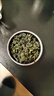 茶中仙 新茶兰花香清香型铁观音茶叶大份量2罐总500g散装乌龙茶礼盒装 实拍图