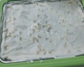 志高（CHIGO）炒酸奶机 炒冰机儿童DIY冰淇淋雪糕机家用沙冰机制冰盘CBP03 绿色 实拍图