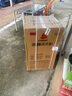 志高13KG全自动洗衣机 家用小型波轮大容量 洗脱烘干一体机 宿舍出租房公寓 13KG【蓝光洗护+智能风干+强动力电机】 实拍图