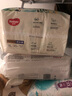 好奇（Huggies）心钻装小森林纸尿裤XL32片(12-17kg)加大号尿不湿透气夏季超薄 实拍图