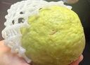 京鲜生 白心奶油芭乐 番石榴 轻微红点 净重3斤 单果150g+ 水果礼盒 实拍图