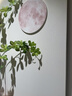 见造水培绿植玄关装饰画入户正对门挂画奶油风走廊过道尽头造景灯光画 A款-光影绿植 40*80cm(适合玄关0.6~0.7m墙宽) 【无灯款】颗粒感砂岩 多层无框立体砂岩+玻璃杯仿真绿植+置物木板 实拍图