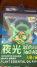 润本植物精油夜光香圈3条×2袋（森林动物款+恐龙王国款）户外游玩 实拍图
