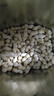 洽洽奶香花生420g/袋 坚果炒货休闲零食带壳炒制小花生每日坚果年货 实拍图