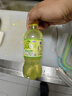 八王寺果子蜜/大白梨355ml*12迷你小瓶装碳酸饮料水果味老汽水气泡水 果子蜜味 355*6大白梨 实拍图