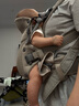 BabyBjorn瑞典品牌进口透气婴幼儿背带抱娃神器Harmony背带0-3岁 灰褐色 实拍图