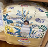 大王（GOO.N）光羽致本之源 纸尿裤XL24片(12-17kg)植物提取 品牌直供 安心品质 实拍图