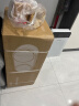 顽米内衣内裤洗衣机迷你小型双桶仓舱专用洗袜子机神器全自动壁挂婴儿童3公斤高温洗烘一体懒人清洗机 【店长力荐】尊享款+洗脱烘+高温煮 实拍图