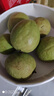 樱鲜红心芭乐低糖低卡脆甜软糯新鲜水果番石榴送酸梅粉孕妇儿童可食 树熟红心芭乐送酸梅粉 3斤(普通装) 实拍图