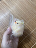 煦琪肉墩墩小鸡捏捏乐毛绒解压玩具奶油烂泥超软成人儿童减压神器礼物 实拍图