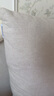 东菱（Donlim）【国家补贴】布艺清洗机多功能清洁机家用洗地毯机高温蒸汽除螨机地毯床垫窗帘清洁神器DL-6906 实拍图