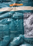 海鲜世家 新西兰熟冻原汁全壳青口贝净含量1kg 21-26只/袋 原装进口 海鲜 实拍图