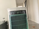 SOLEUSAIR舒乐氏Umi宠物空气净化器吸附猫毛除细菌过敏源除甲醛雾霾异味净化机C02绿精灵 实拍图