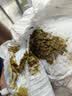 露安适（Lelch）微气候婴儿纸尿裤超薄透气尿不湿干爽云感尿布 夜用纸尿裤NB60片+试用3片【适用2-4kg】 实拍图