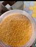 柴火大院 黄小米 1kg 早餐小米粥 小黄米 五谷杂粮 粗粮 小米新米 2斤 实拍图