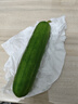 京鲜生 山东水果嫩黄瓜 净重5斤 单根70g+ 小青瓜生吃水果瓜 源头直发 实拍图