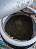 五谷磨房核桃芝麻黑豆粉黑芝麻糊五黑粉黑之养代餐粉600g*3罐无糖版 实拍图