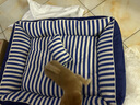 主子家 狗窝猫窝 小型中型犬泰迪狗床狗垫子 四季防水可拆洗车载宠物窝 海军条纹-深蓝 L（ 74*58*25）30斤宠物 实拍图