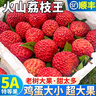 甜萌果蔬【JD顺丰速发】海南荔枝王 超大荔枝新鲜水果盒子送礼端午节 3斤手挑8A巨无霸【单果约28g+】净重2.5斤 实拍图