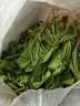 绿食者新鲜荠菜500g 农家新鲜蔬菜 香荠菜 馄饨饺子馅食材 500g 实拍图