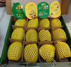 佳沛（zespri）绿奇异果 优选大果12粒单果约113-135g  水果礼盒 猕猴桃 实拍图