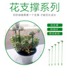 绿园匠花卉爬藤架植物防倒伏支撑杆玻纤固定盆栽护花叶花支架37厘米10支 实拍图
