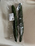长黄瓜约600g 实拍图