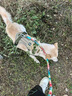 嬉皮狗狗狗牵引绳大型犬胸背带背心式防爆冲遛狗绳子 L码 建议29-45斤 实拍图