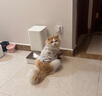 网易严选豆腐膨润土混合猫砂强结团省砂不沾底小苏打除臭砂 2.4kg*4袋 实拍图