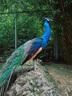 奥林巴斯（OLYMPUS）E-M10 MarkIV EM10四代 微单相机 数码相机 微单套机（14-42mm F3.5-5.6）2030万像素 实拍图