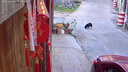 镭威视摄像头监控器套装360度全景无死角可对话旋转无线wifi高清夜视室户外防水4g手机远程农村家用追踪 【WIFI升级版】云台旋转+500万 【家用推荐】含64G内存卡 实拍图
