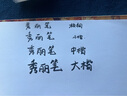 宝克（BAOKE）S009 秀丽笔套装小楷软笔式毛笔大楷中楷书法练字笔极细绘画美工笔初学者入门黑色 4支/套 实拍图