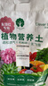 漫生活16L进口朱顶红专用种菜土园艺种菜土营养土椰糠花卉果蔬土绿植土 实拍图