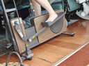 梵品小木马椭圆机小型家用跑步踏步漫步机椭圆仪家居运动智能健身器材 【大木马】大步距胡桃木椭圆机 实拍图