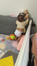 好奇（Huggies）金装纸尿裤M162片(6-11kg)中号婴儿尿不湿超薄柔软超大吸力透气 实拍图