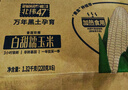 北纬47°黄糯玉米4斤(200g*10根)东北甜黏鲜玉米棒真空包装  早餐苞米 实拍图