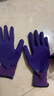 弹力王手套劳保耐磨工作男工地干活劳动乳胶发泡王橡胶透气男女弹 紫色发泡L309 小号【12双】 实拍图