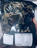 澳牛日记 澳洲和牛M5原切眼肉牛排 净重1斤 谷饲雪花牛肉生鲜冷冻牛扒 实拍图