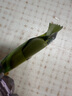 德芙（Dove）丝滑牛奶巧克力盒装儿童休闲零食品送老婆女友生日礼物婚庆喜糖果 德芙小清新白巧克力208g*2盒 实拍图