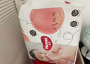 好奇（Huggies）铂金装纸尿裤NB84片(5kg以下)新生儿小号婴儿尿不湿小桃裤超薄 实拍图