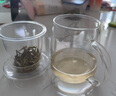 物生物（RELEA）茶杯男女士茶水分离杯玻璃杯带过滤水杯办公泡茶杯子耐高温花茶杯 实拍图