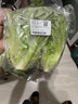 云南鲜生菜约400g 实拍图