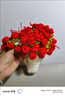 毛线手工diy编织玫瑰花花束毯子材料包钩织铃兰玫瑰创意送礼物 红色玫瑰材料包+工具+教程 实拍图