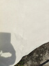 天山雪域 被子新棉花无网棉胎新疆棉花被芯学生春秋被垫被褥棉絮定做尺寸 无网4斤 150*200标准单人 实拍图