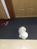 大江 入户地垫门口脚垫进户门门垫脚垫地毯防滑入户门地垫90x150cm 实拍图