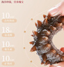 辽参大连有机冷冻海参1斤10-12只非即食京东自营旗舰店独立包装正品 实拍图